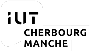 Logo MMI Saint-Lô